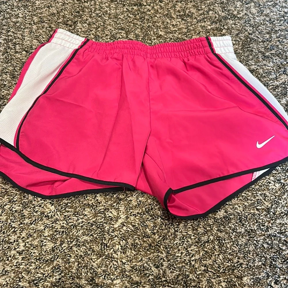 Nike Dryfit Running Shorts - Picture 1 of 4